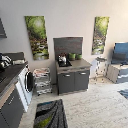 Apartament Acasa Sf.Gheorghe Sfântu-Gheorghe المظهر الخارجي الصورة