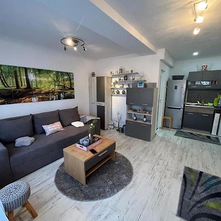 Apartament Acasa Sf.Gheorghe Sfântu-Gheorghe المظهر الخارجي الصورة