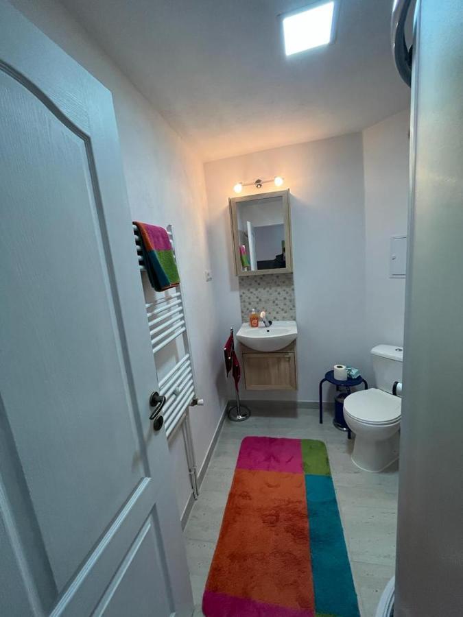 Apartament Acasa Sf.Gheorghe Sfântu-Gheorghe المظهر الخارجي الصورة