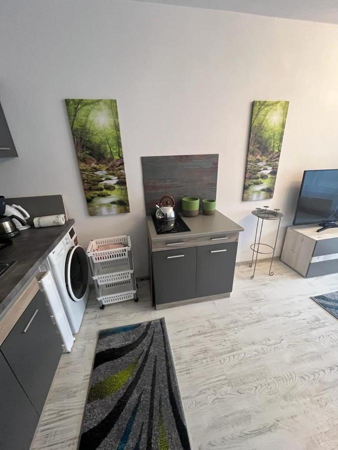 Apartament Acasa Sf.Gheorghe Sfântu-Gheorghe المظهر الخارجي الصورة
