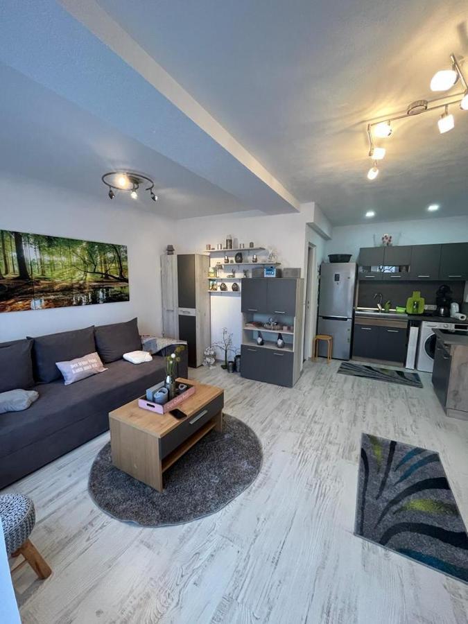 Apartament Acasa Sf.Gheorghe Sfântu-Gheorghe المظهر الخارجي الصورة